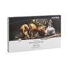 Lyra Rembrandt Polycolor Colored Pencils Review thumbnail
